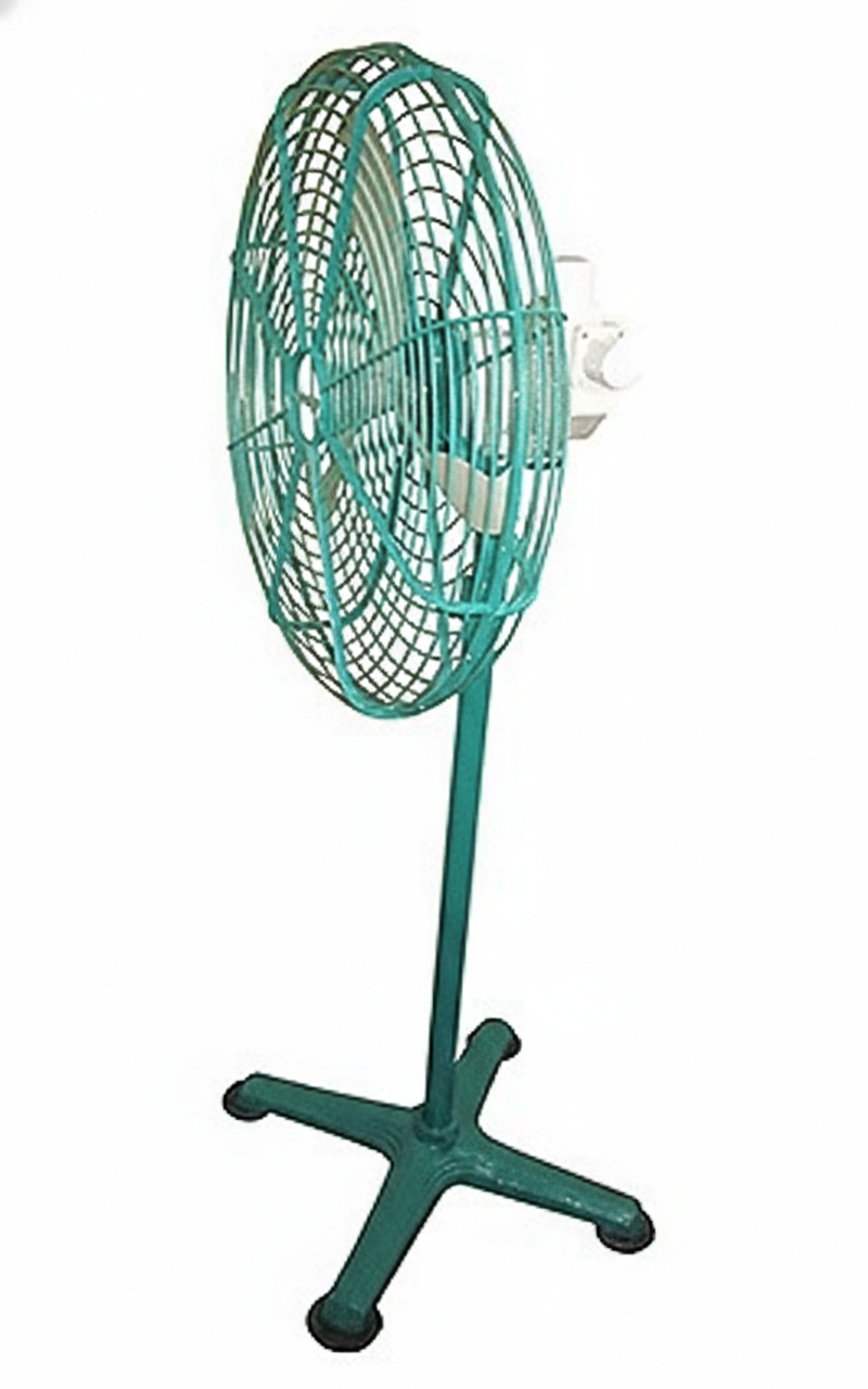Pedestal Fan